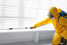 Professional Pest Control in Idylwood, VA